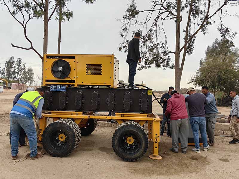 Shrub Leaf Peeling Machine Arrives in Egypt and Surpasses Expectations with Outstanding Results